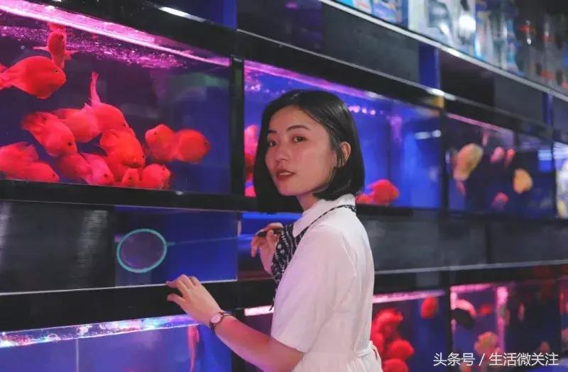 拍照圣地深圳风景,超小众拍照圣地深圳