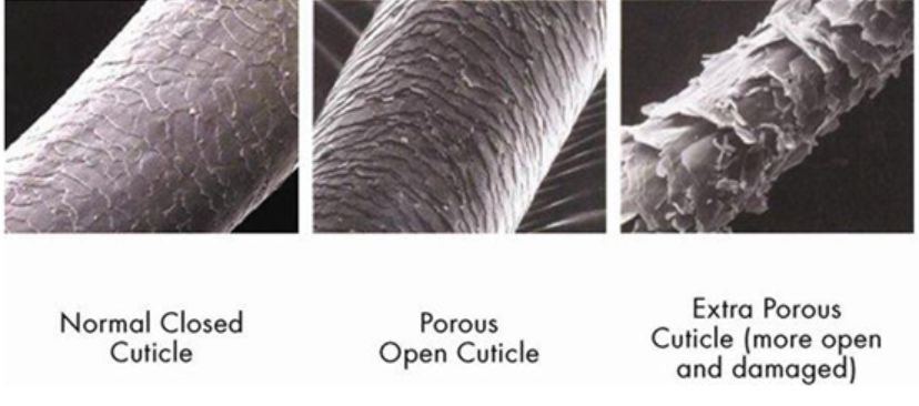 日本超火的洗发水,日本最好用无硅油洗发水