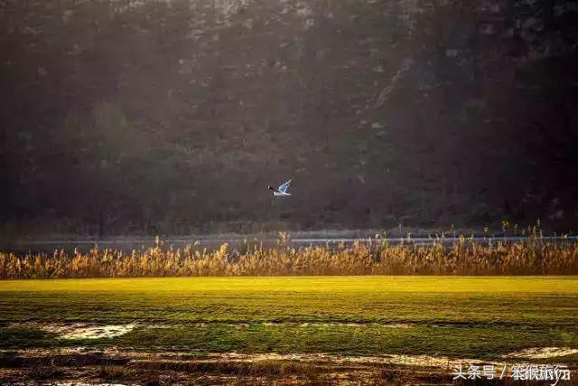 北戴河黄金海岸阿那亚地中海酒店,北戴河阿那亚黄金海岸自驾游攻略