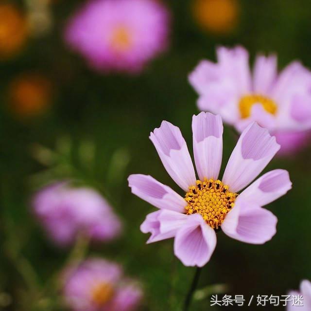 经典语录个性签名人生感悟,简短精辟的个性签名句子精辟走心