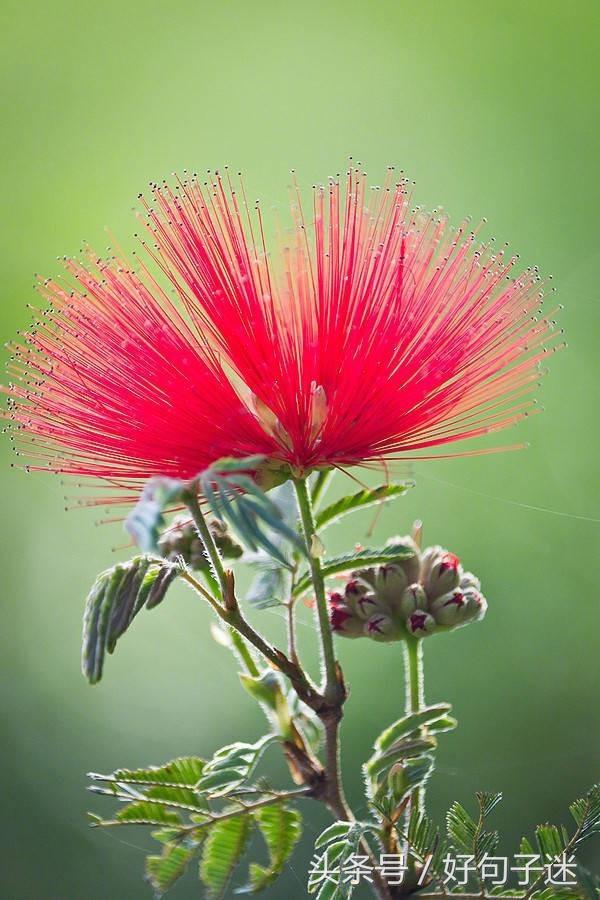 经典语录个性签名人生感悟,简短精辟的个性签名句子精辟走心