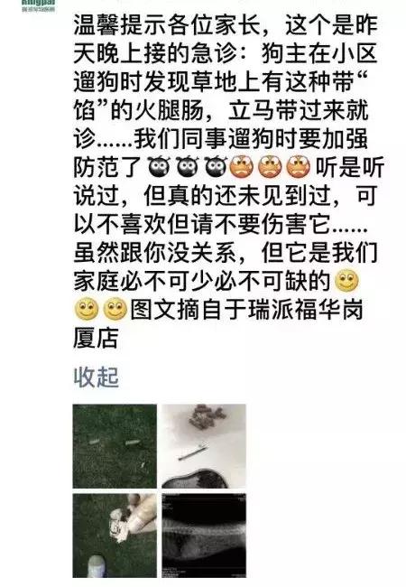 狗咬人被打死狗主人要求赔偿,藏獒先生医疗费谁来付