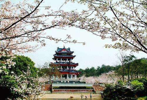 去日本语言学校需要保证金,日本语言学校签证要什么条件