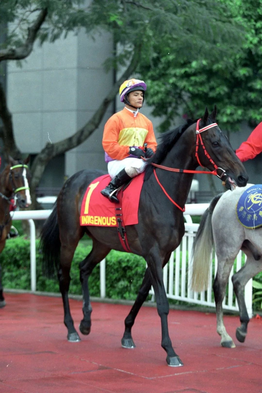 载入香港百年赛马史册，历届马王全家福拿走不谢！