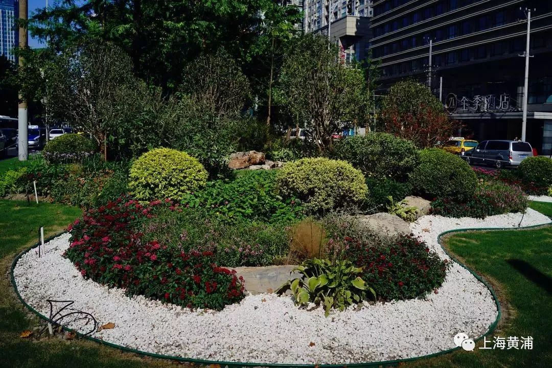 臭水浜变成了林荫道,《从臭水浜到林荫道》小学课文