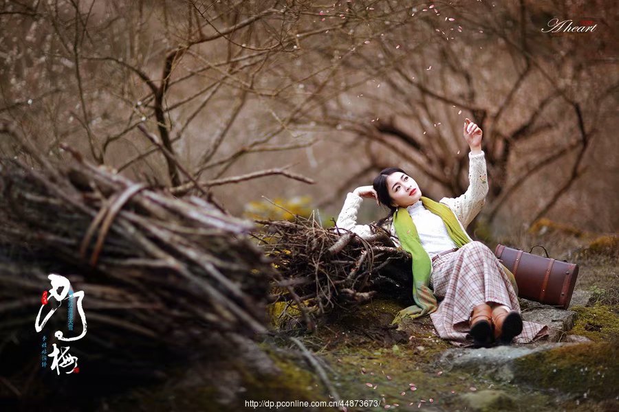 经典散文梦里花落知多少,花落知多少的情感句子摘抄