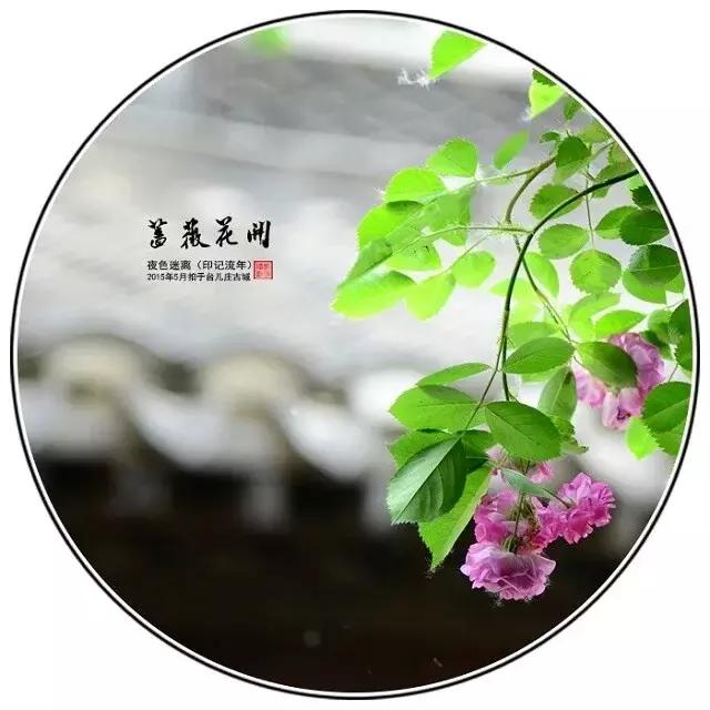 前缘如梦听书全集,前缘如梦小说全名