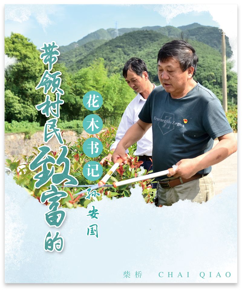 柴桥水芹书记,柴桥街道领导班子