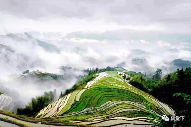 山歌文化传统音乐,山歌贵州纯音乐