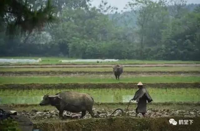 山歌文化传统音乐,山歌贵州纯音乐