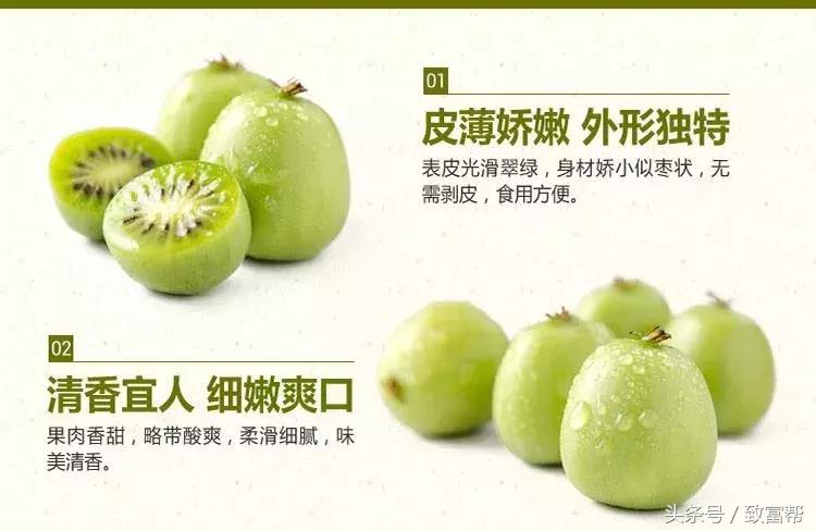 营养价值超高的猕猴桃,纯野生猕猴桃维c之王