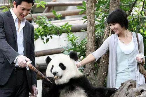 高圆圆郑雨盛好雨时节西瓜视频,遇见前任怎么办知乎
