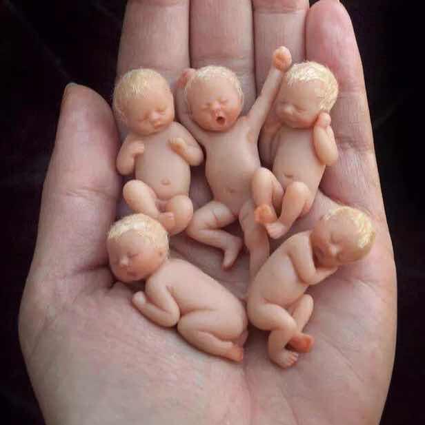 值得学习的早教经验,80后母亲自学课程