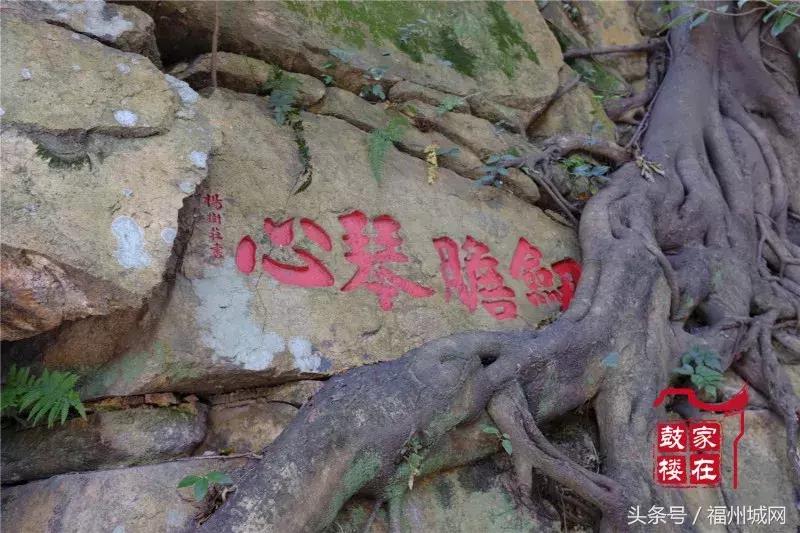 福州新的公园,福州这几年新开发的公园