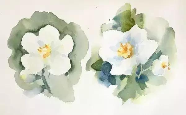 水彩教程颜料,水彩的基本知识与技法