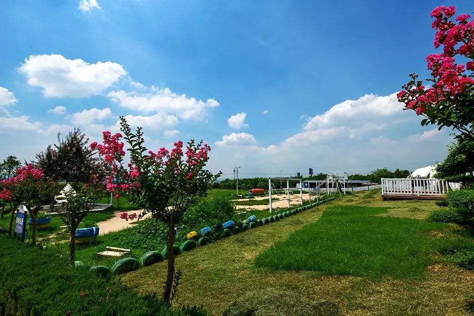 洛阳夏天适合一天游玩放松的地方,洛阳这个季节适合去哪旅游