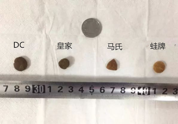 你不知道狗粮的那些事,狗市的狗粮有什么内幕