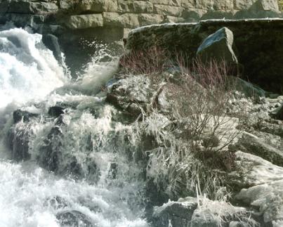 越接近年底运气就越好的三大生肖,中年让人高攀不起的生肖