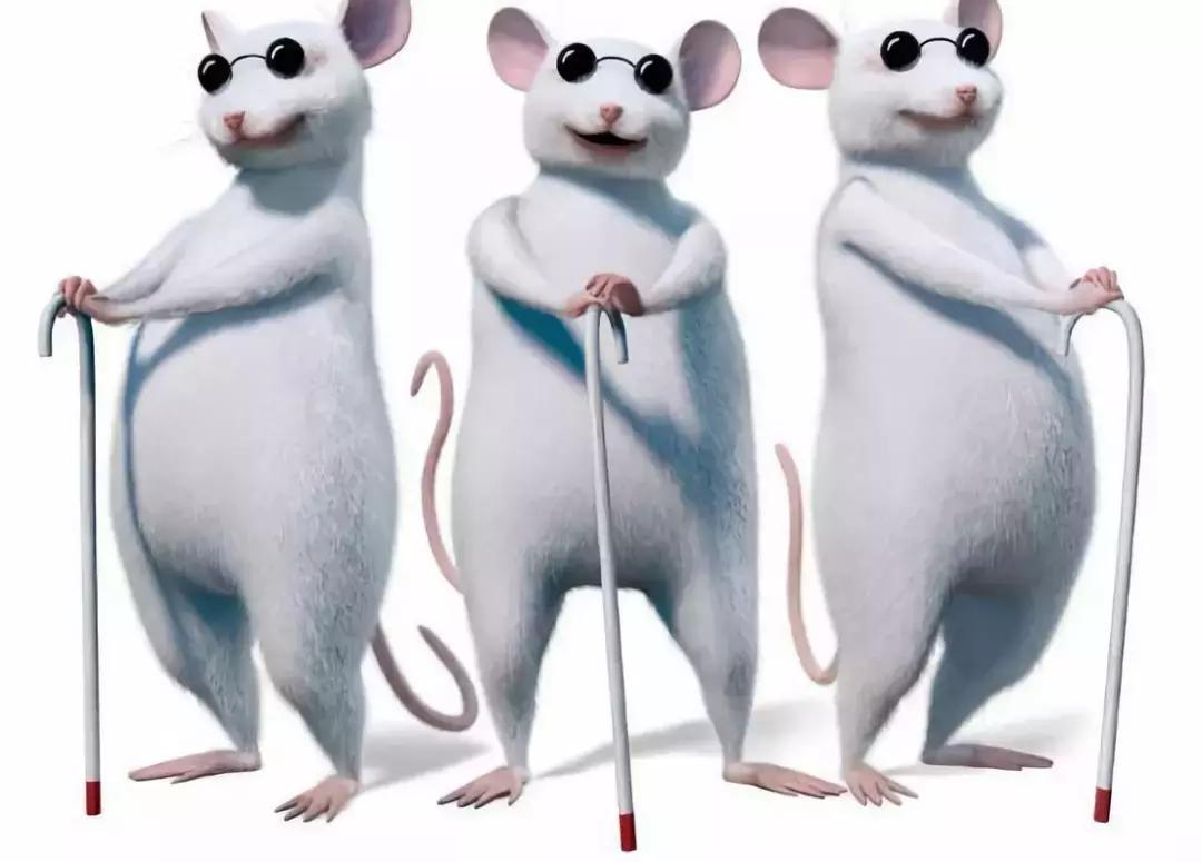 上汽大通g50怎么放不了视频,上汽大通g50到底值不值得买