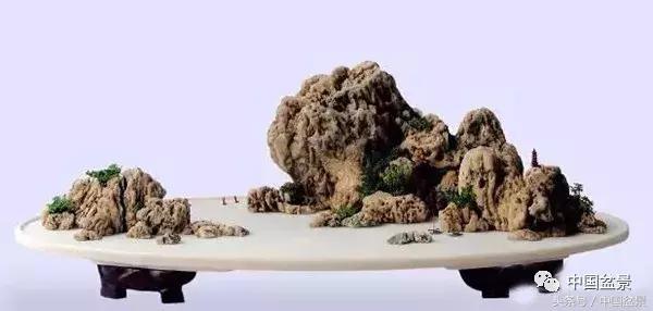 值得收藏的盆景养护常用技法