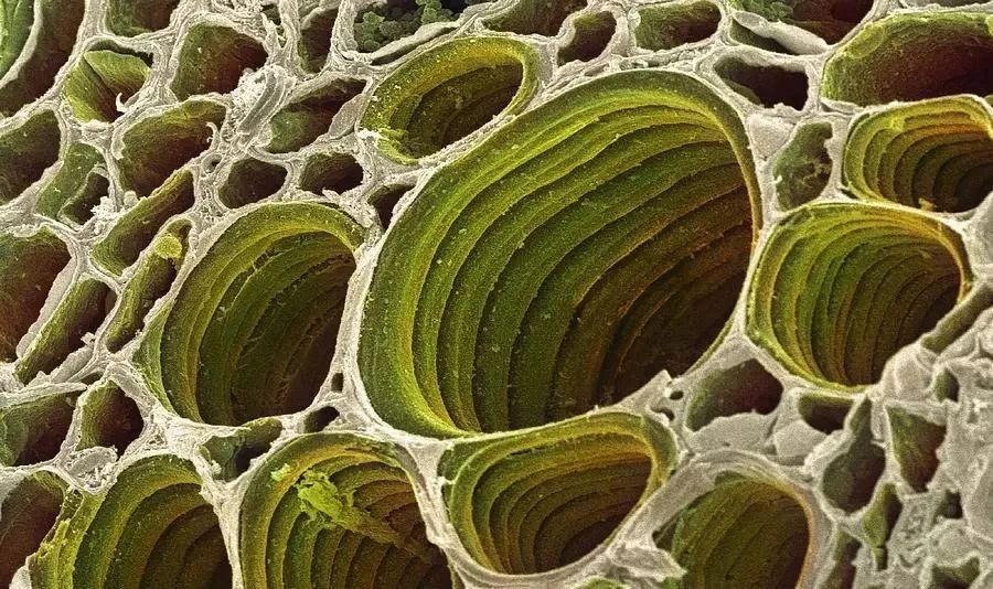 二手房地面木地板翻新最佳方法,二手房木地板翻新工具