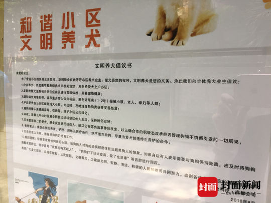 德牧被未牵绳主人暴打,在城市小孩被德牧咬伤怎么赔偿