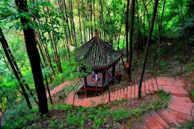 这座低调的宝藏小城去100次都不腻,这个低调的四川小城