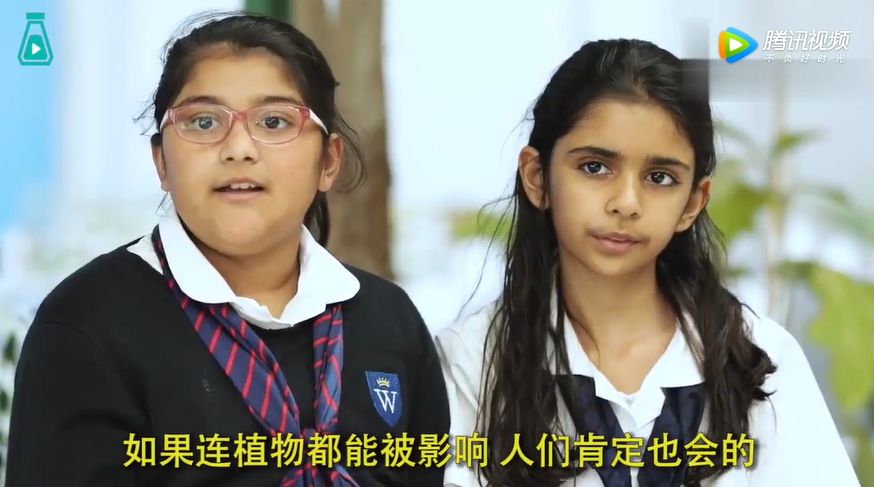 这一回，宜家开始“虐待”植物了！30天3D循环辱骂，活生生把植物给“骂枯”！
