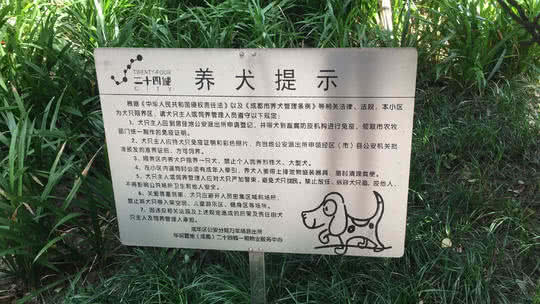 被恶犬咬伤7岁女童现状平稳,被幼狗咬破了一点皮需要打针吗
