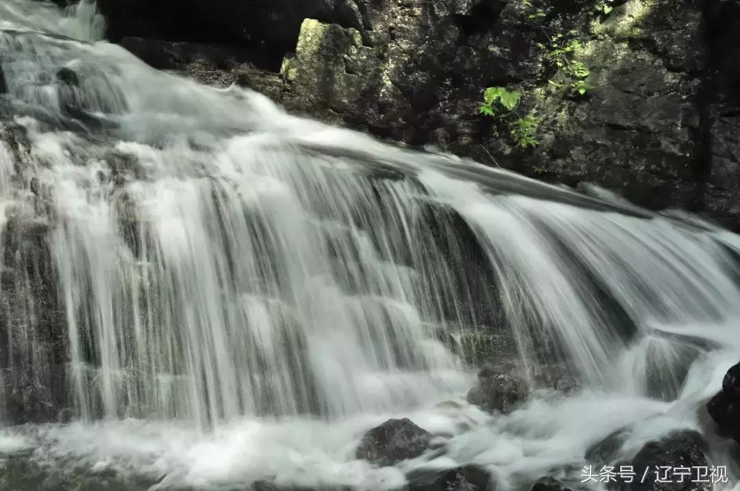 盛满欢乐，洒满真情，昨夜鸭绿江畔热情无眠！