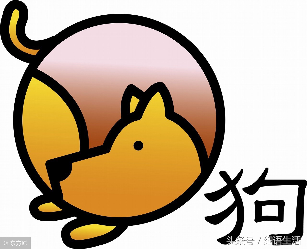 2023年生肖狗哪些属相的夫妻最配,生肖狗找什么样对象比较理想