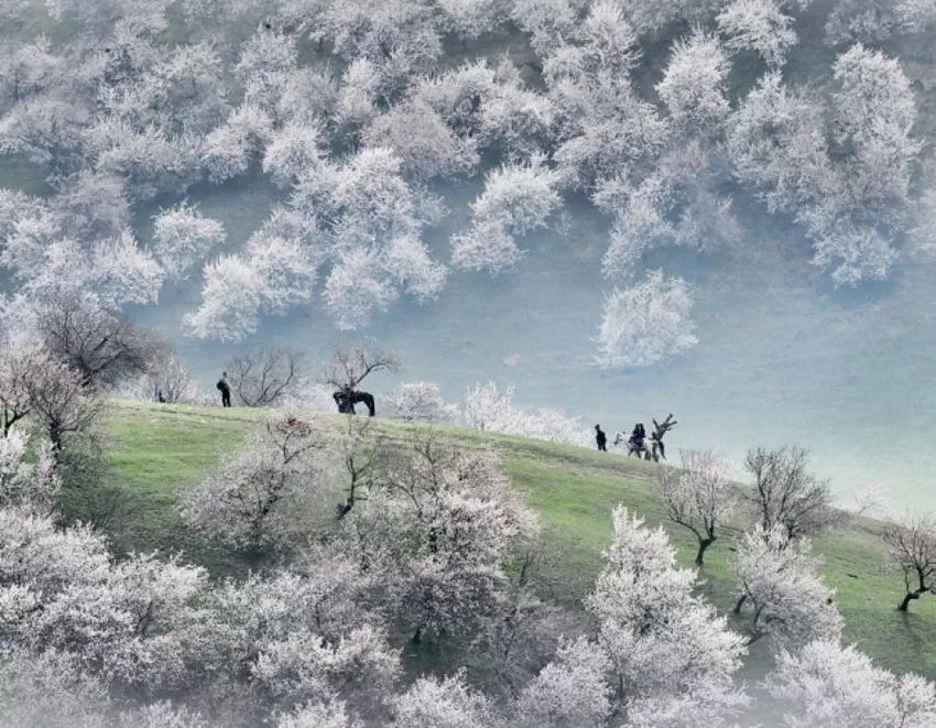 月赛冠军奖励,首届全球华人旅拍大赛