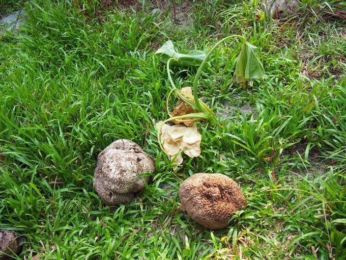 七夕去哪儿约会附近,七夕三亚旅游攻略