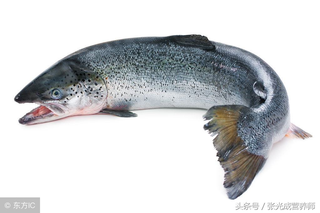 国产三文鱼和挪威三文鱼,国产三文鱼和进口三文鱼营养