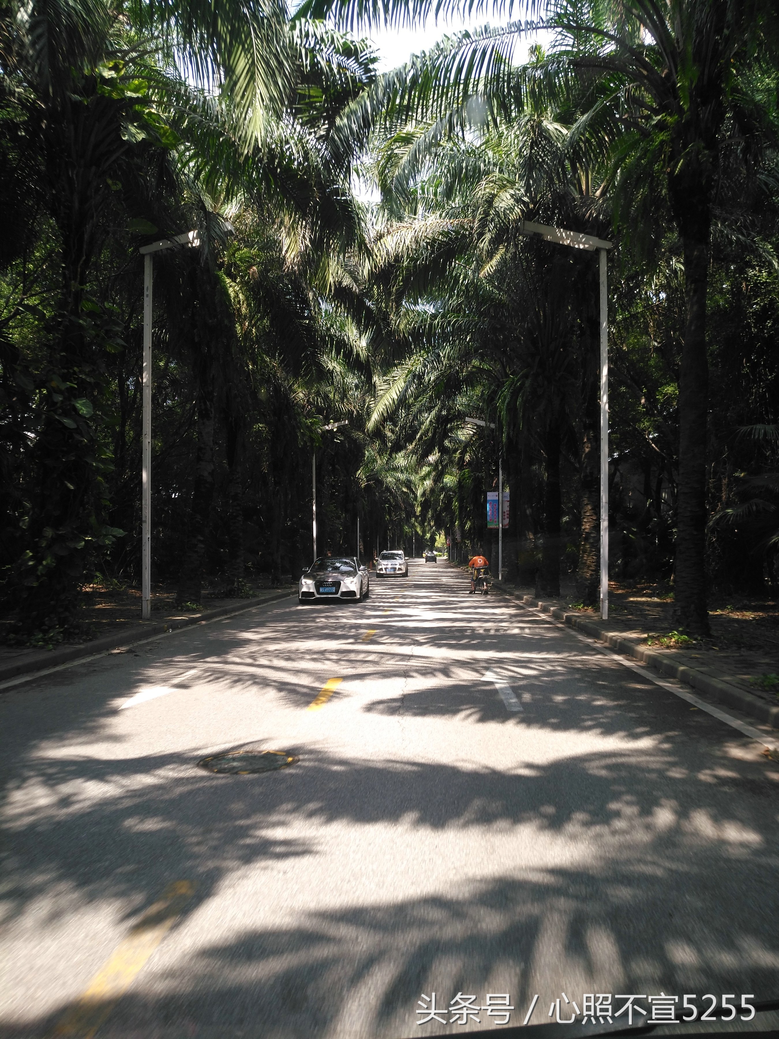 东莞虎门镇五星级酒店,东莞市虎门镇五星级酒店