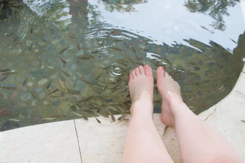 贵州旅游避暑推荐地点有哪些景点,贵州避暑旅游线路整理推荐