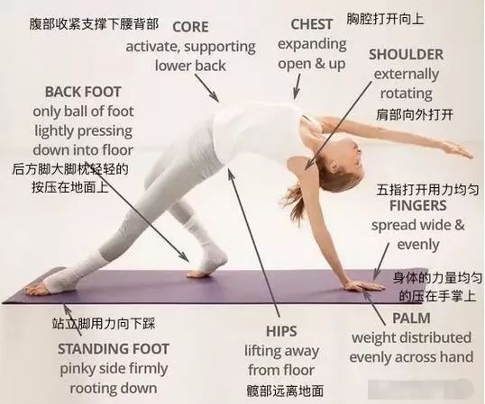 瑜伽体式狂野式精讲,瑜伽狂野体式精讲