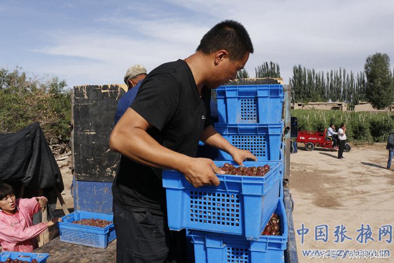 百e国际香港,百e国际平台