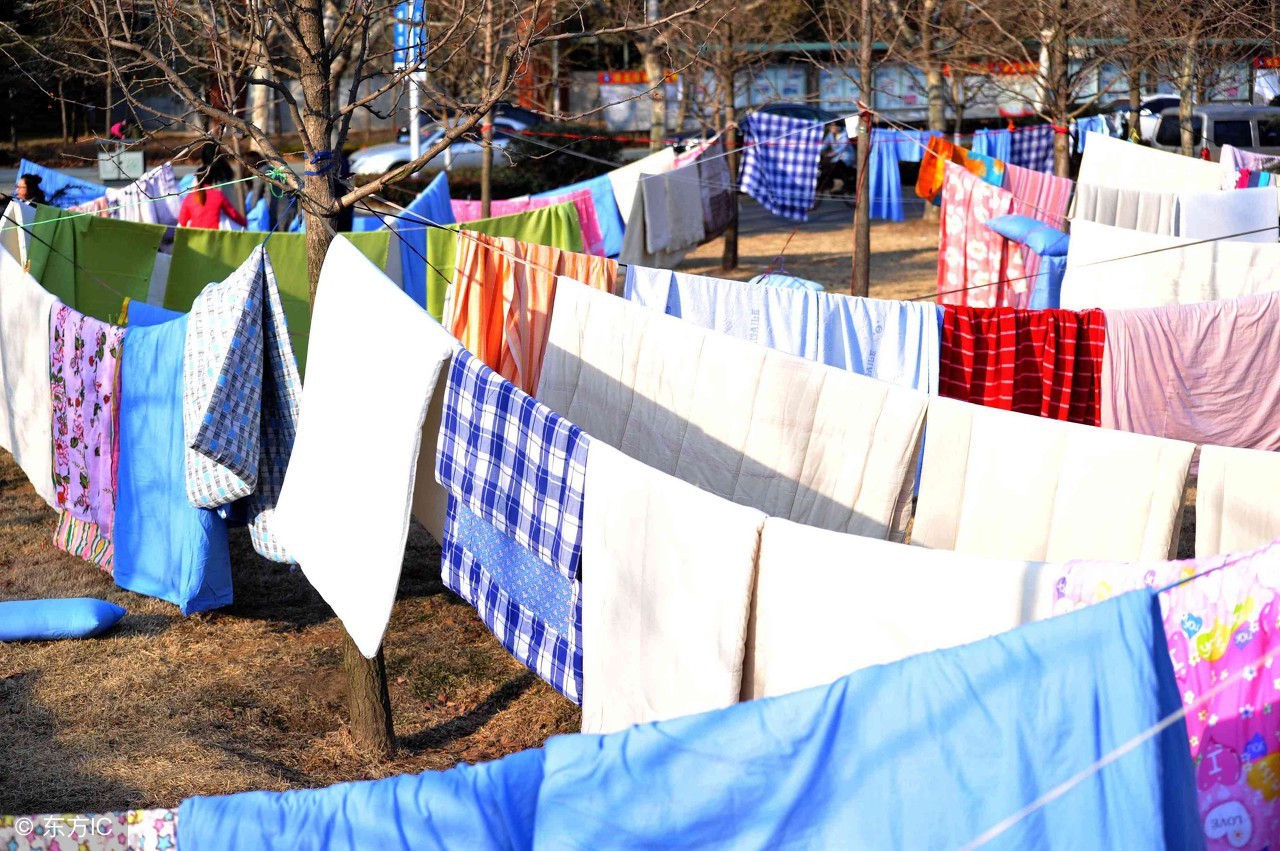 家里螨虫成窝百万螨虫陪你睡,家里螨虫怎么杀灭用什么药