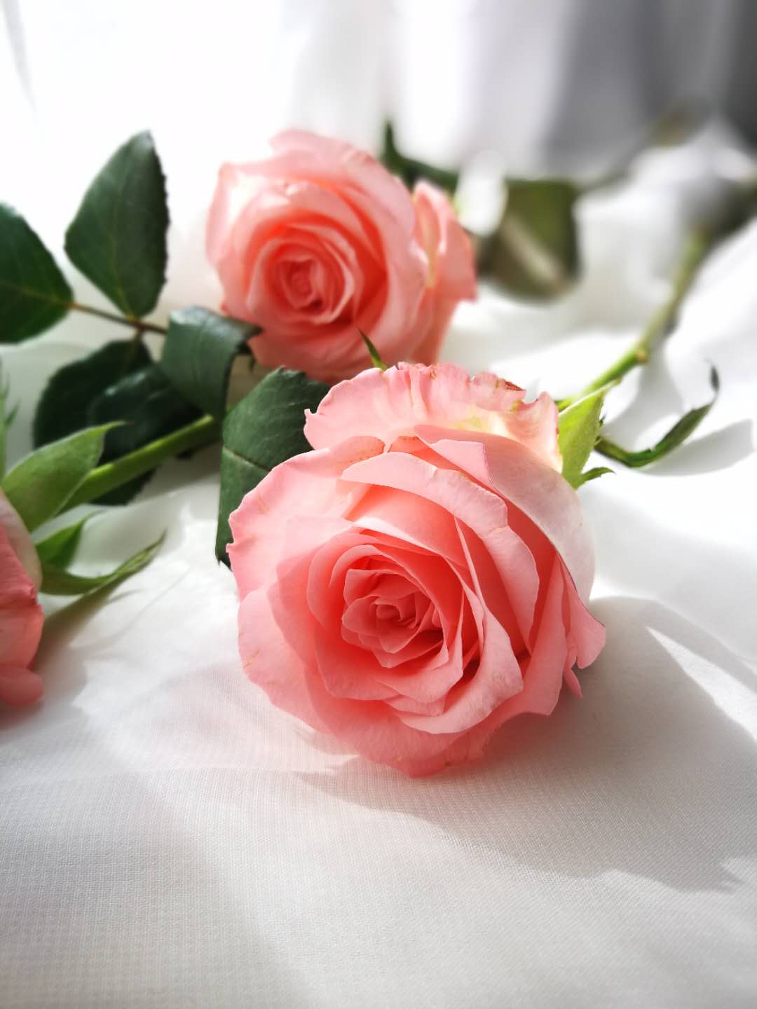 如何克服自卑心理强大气场,如何克服自卑的方法