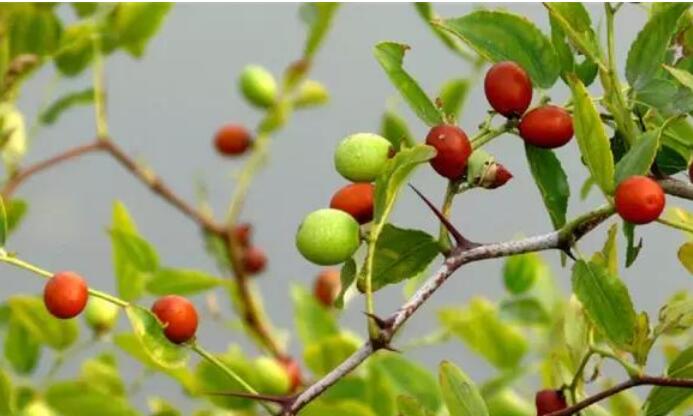 <html>
<head><title>502BadGateway</title></head>
<body>
<center><h1>502BadGateway</h1></center>
<hr><center>nginx</center>
</body>
</html>
<!--apaddingtodisableMSIEandChromefriendlyerrorpage-->
<!--apaddingtodisableMSIEandChromefriendlyerrorpage-->
<!--apaddingtodisableMSIEandChromefriendlyerrorpage-->
<!--apaddingtodisableMSIEandChromefriendlyerrorpage-->
<!--apaddingtodisableMSIEandChromefriendlyerrorpage-->
<!--apaddingtodisableMSIEandChromefriendlyerrorpage-->
