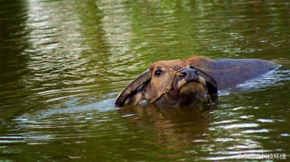刘铭‖家乡有座山叫下角砠