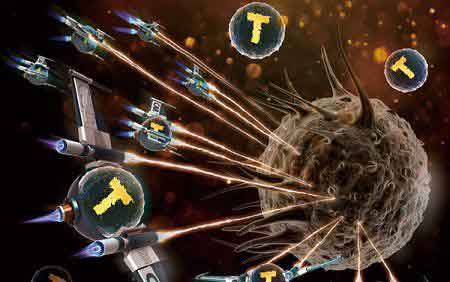 “抗癌神药”PD-1即将开售啦，一文看懂PD-1*制剂抑**到底是什么？