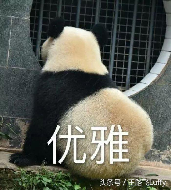 张萌是资本吗,张萌带资进组