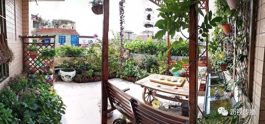 最美庭院评选,寻找最漂亮的花园小院