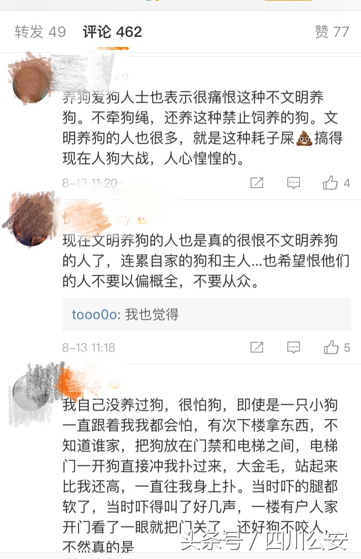 遇到狗咬人怎么自救,遇到狗狗攻击自救方法