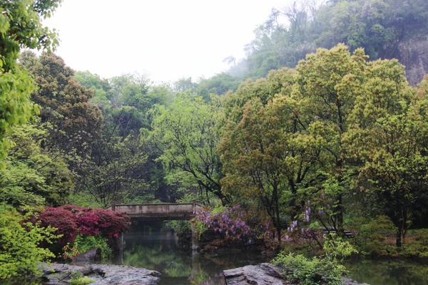 绍兴湖面上的桥,绍兴越城的桥