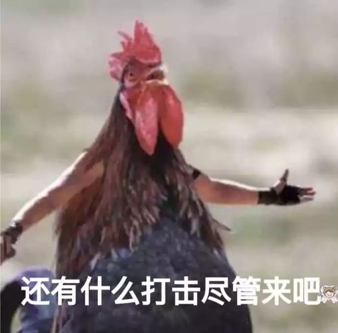 自从迷上*戏调**某宝客服后,我不会说话的毛病就被治好了