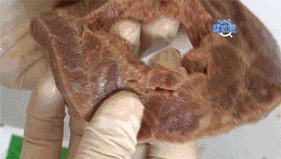 天呐！你叫的外卖牛排饭里竟然没牛肉？70%是这种肉