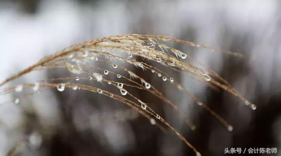 会计所有税种公式,会计所有公式